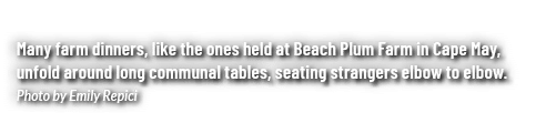 Many farm dinners, like the ones held at Beach Plum Farm in Cape May, unfold around long communal tables, seating str...