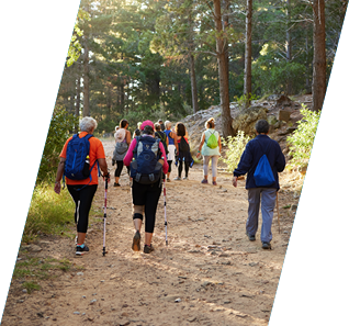 Hiking, nature and fitness with a group of people walking in the woods or forest for health and exercise. Trees, health and active with friends taking a walk on a dirt road or footpath during summer
