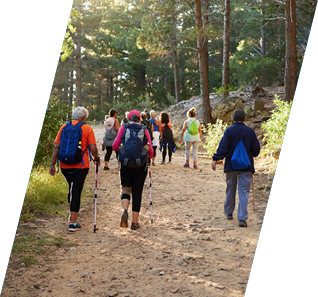 Hiking, nature and fitness with a group of people walking in the woods or forest for health and exercise. Trees, health and active with friends taking a walk on a dirt road or footpath during summer